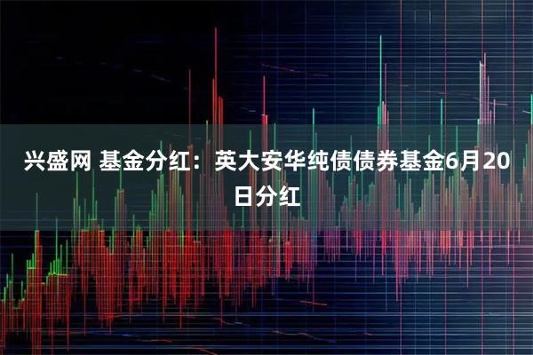 兴盛网 基金分红:英大安华纯债债券基金6月20日分红