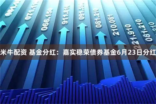 米牛配资 基金分红:嘉实稳荣债券基金6月23日分红