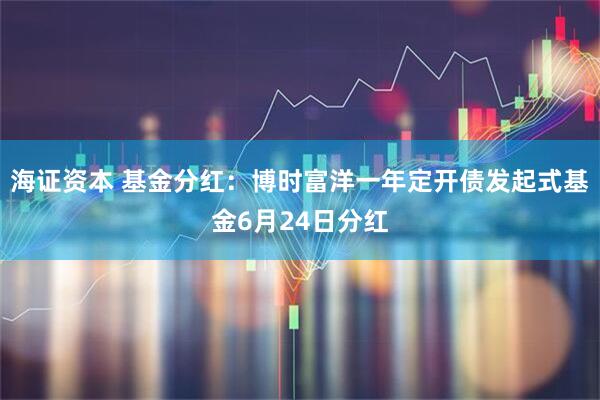 海证资本 基金分红:博时富洋一年定开债发起式基金6月24日分红