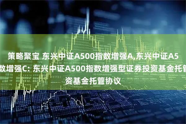 策略聚宝 东兴中证A500指数增强A,东兴中证A500指数增强C: 东兴中证A500指数增强型证券投资基金托管协议