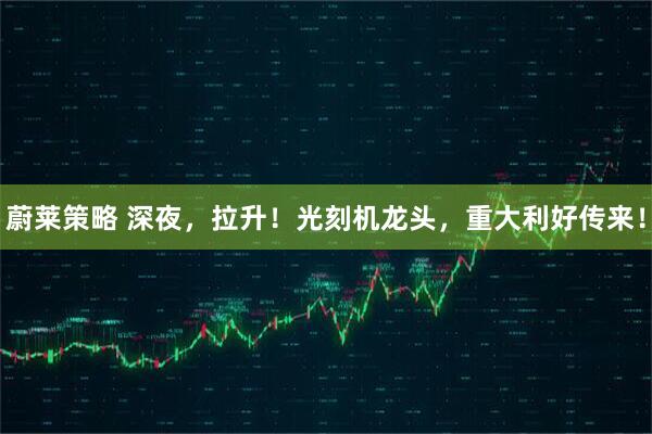 蔚莱策略 深夜，拉升！光刻机龙头，重大利好传来！